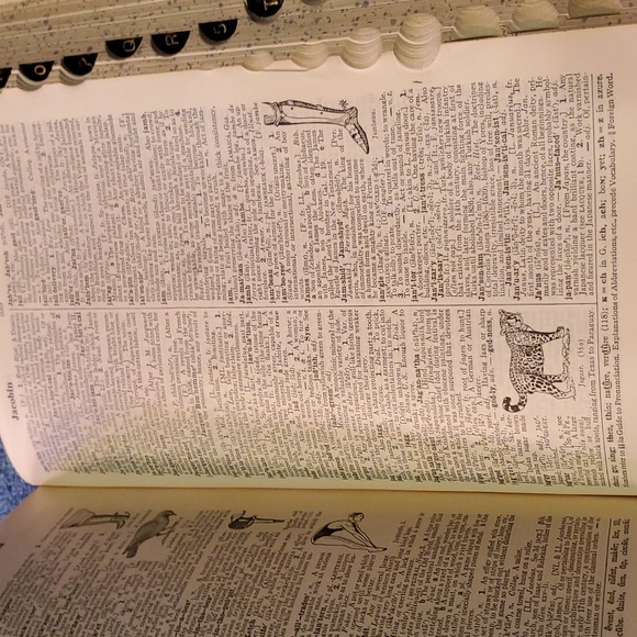 Websters collegiate dictionary - Picture 4 of 5